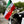 Car Window Edition - Lion & Sun Flag of Iran - Pair of 2